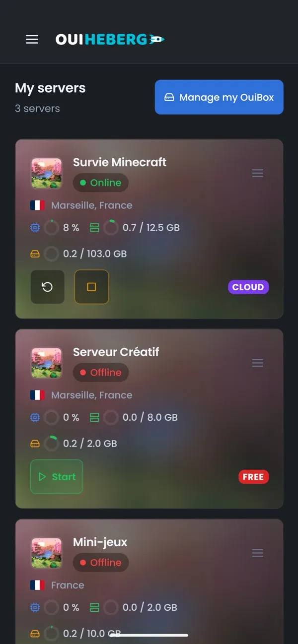 Screenshot of the OuiPanel app, All your servers