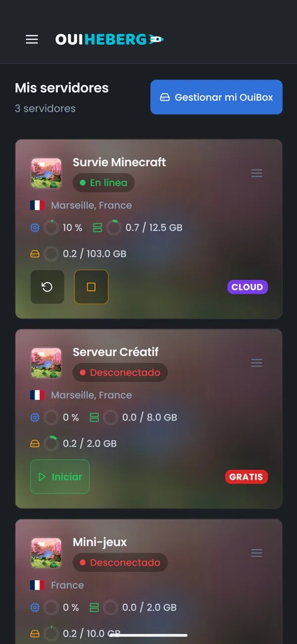 Captura de pantalla de la aplicación OuiPanel, Todos tus servidores