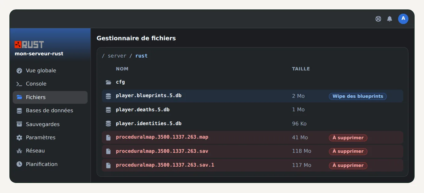Gestionnaire de fichiers d'OuiPanel dans server/rust, avec les fichiers de carte à supprimer et la base des blueprints