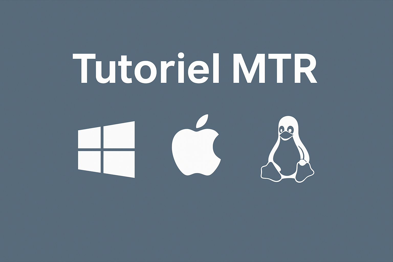How to Run an MTR on Windows, macOS, and Linux – Complete Guide